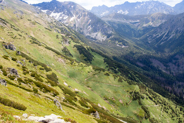 Summer landscape view to Polish Slovak tatry mountain with cloudy sky. Green high mountains covered with grass and meadow flowers. Zik zaсk path trail going down from the peak 