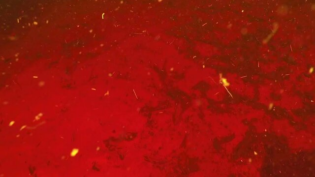 Red colored High acidity water. Sekonyer river. Tanjung Puting National Park, Borneo
