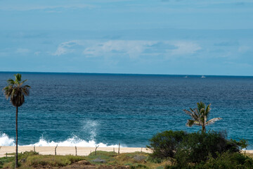 tropical beach with palm trees