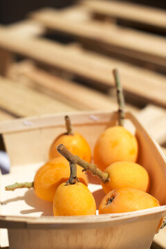 Medlar detail