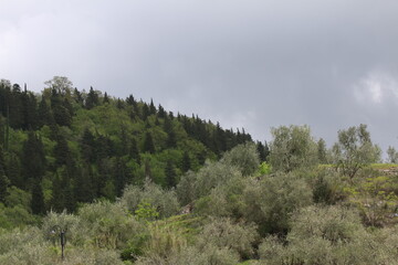 panorama di colline con cielo nuvoloso