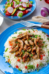 gyros with rice and green salad and zaziki