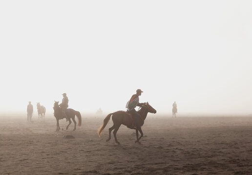 Horse rider