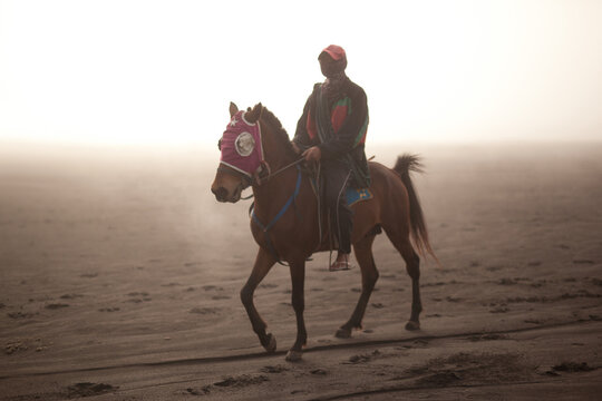 Horse rider