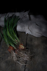 Fresh natural green onion on a wooden background. Copy space.