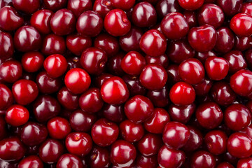 Cherry background. Cherry top view. Cherries background. Sour cherry flat design.