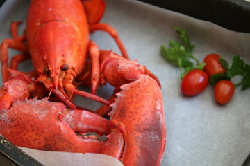 astice dentro una teglia con prezzemolo e pomodorini