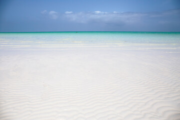 Amazing beach with white sand in Zanzibar,Tanzania