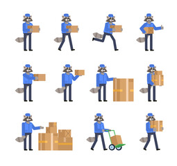 Naklejka premium Set of raccoon characters in blue courier uniform posing with parcel box. Flat design vector illustration