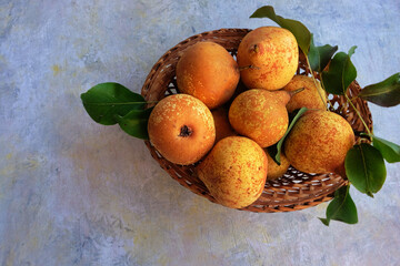 Yellow fresh pears from the home garden in a basket on a gray background. Vitamin fruit is an...