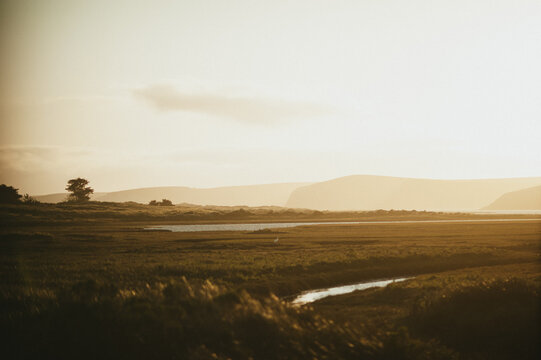 Golden hour sunset over river and tall grass sand dunes in Point Reyes California