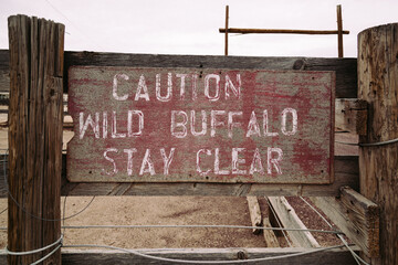 Caution Wild Buffalo