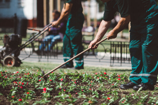 yard maintenance , digging flowers, mowing grass