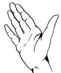 Human hand. Palm. Linear illustration on a white background.