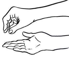 Human hand. Palm. Linear illustration on a white background.