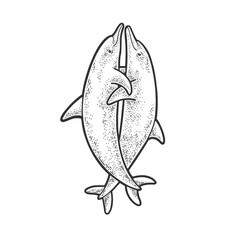 hugging dolphins sketch engraving vector illustration. T-shirt apparel print design. Scratch board imitation. Black and white hand drawn image.