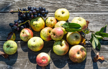 Fresh natural organic apples and grape on a wooden table.