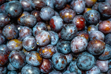 Fresh ripe plums. Eco Supermarket. A lot of very beautiful blue plums. The autumn harvest. Selective focus. 