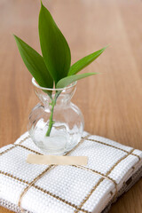 leaf in bottle on napkin