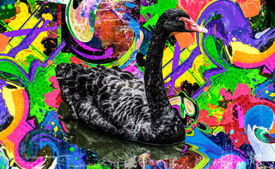 black color abstract art with  swan