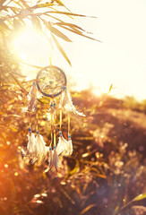 Magic dreamcatcher on nature sunny background. ethnic ritual Shaman native amulet. relax concept. inspiration gentle image