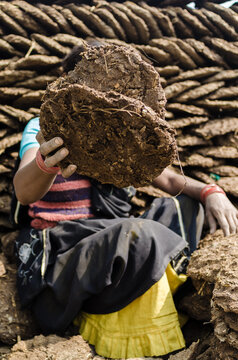 Woman making cow dung cakes in Vridavan. Cow dung is popular in india for combustion
