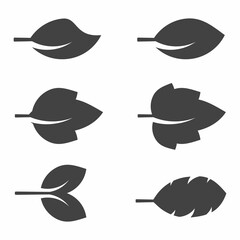 Leaf icon set on white background vector illustration