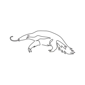 One Single Line Drawing Of Big Anteater For Logo Identity. Worm Tongue Animal Mascot Concept For National Park Icon. Modern Continuous Line Draw Design Vector Illustration Graphic