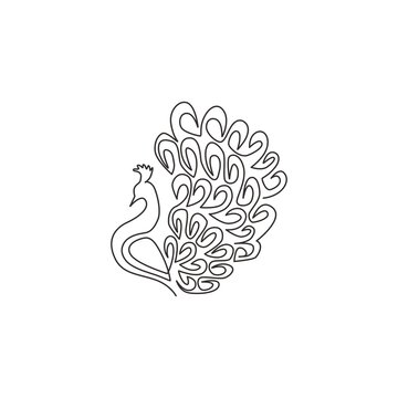 Peacock Drawing png download - 530*706 - Free Transparent Peafowl png  Download. - CleanPNG / KissPNG