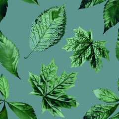 Leaves composition, seamless pattern.