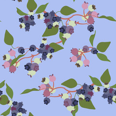 Seamless vector illustration with blueberries
