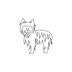 Single continuous line drawing of adorable yorkshire terrier dog for company logo identity. Purebred dog mascot concept for pedigree friendly pet icon. Modern one line draw design vector illustration
