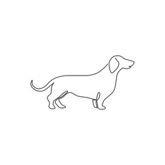 One continuous line drawing of adorable dachshund dog for logo identity. Purebred dog mascot concept for pedigree friendly pet icon. Modern single line draw design vector graphic illustration