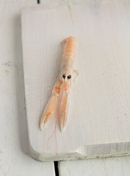 Langoustine on white board
