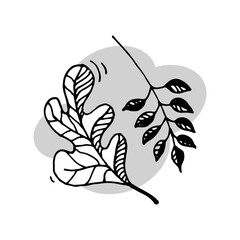 Autumn leaves. Foliage. Freehand graphics. Vector sketch.
