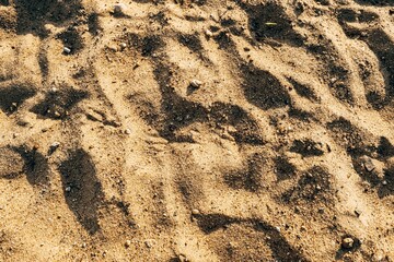 Traces of seagulls on brown river sand.