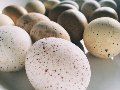 A group of brown and white speckled easter eggs in a white bowl