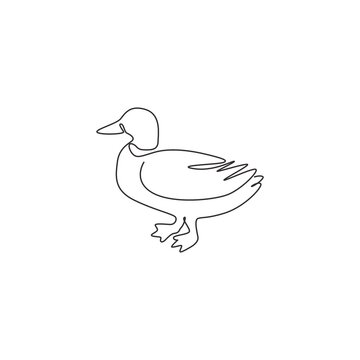 recommend clip art: Single continuous line drawing of cute mallard for farm logo identity. Waterfowl duck mascot concept for animal livestock icon. Modern one line draw design vector graphic illustration
