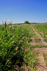 Frankenheim, UNESCO Biosphaerenreservat Rhoen, Thueringen, Deutschland, Europa