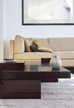 Modern design living room in luxury home