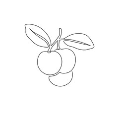 One continuous line drawing of whole healthy organic longan for orchard logo identity. Fresh fruitage concept for fruit garden icon. Modern single line draw graphic design vector illustration