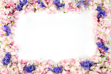 Bluebell and apple blossom flower border on white background with copy space.