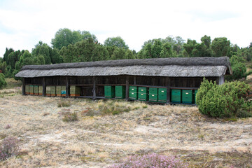 Heideimkerei in Lueneburger Heide, Wilsede, Niedersachsen, Deutschland, Europa