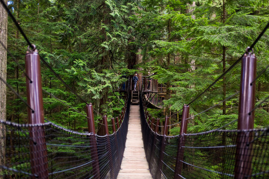 Symmetrical suspension bridge in the forests of Vancouver.