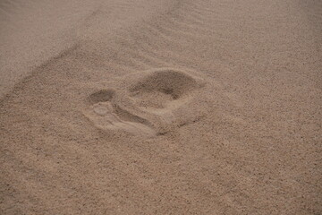 Fototapeta na wymiar Footprint in the sand in the Empty Quarter of Saudi Arabia