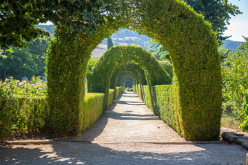 View of a pedestrian path on iconic and geometric classic baroque garden