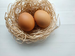 Eggs in the nest with white background