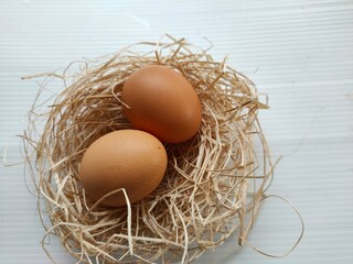 Eggs in the nest with white background