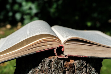 The open book lies on a stump, close-up.