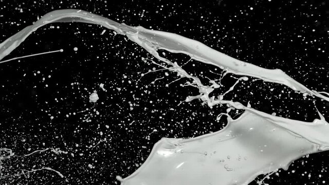 Super Slow Motion Shot of Milk Splash at 1000 fps Isolated on Black Background.
